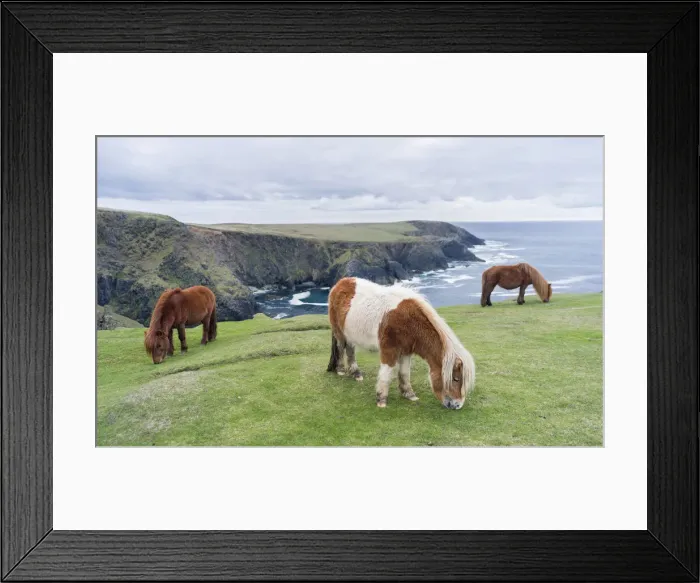 Framed Print : DDE-90036115 Framed Print : DDE-90036115