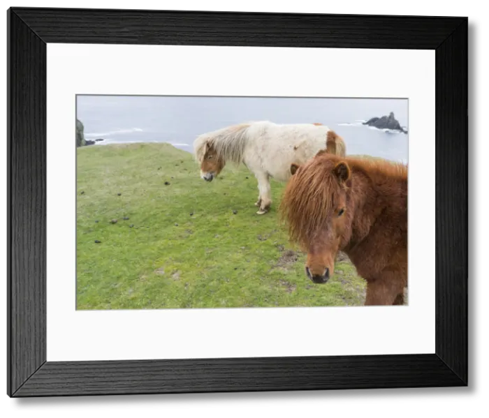 Framed Print : DDE-90036116 Framed Print : DDE-90036116