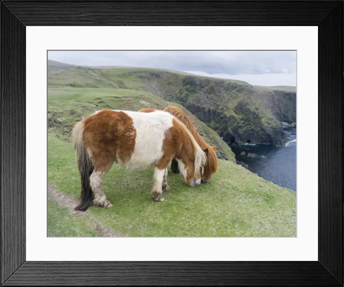 Framed Print : DDE-90036117 Framed Print : DDE-90036117