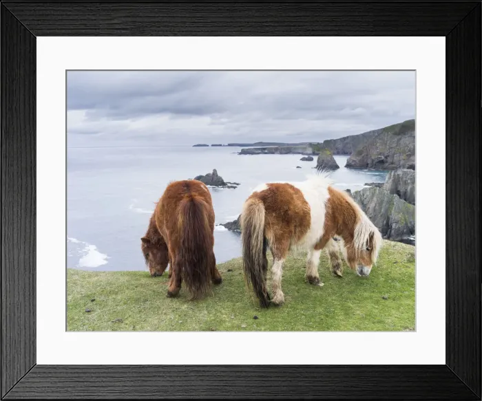 Framed Print : DDE-90036118 Framed Print : DDE-90036118