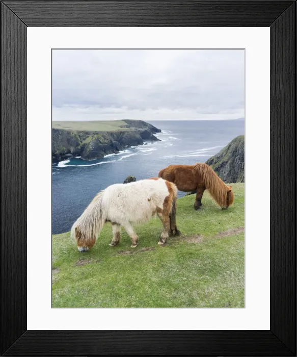Framed Print : DDE-90036119