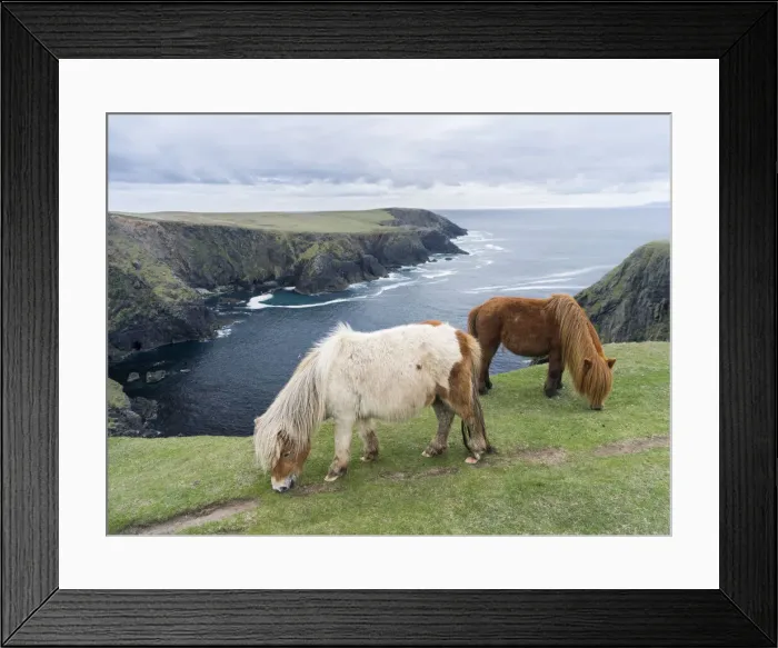 Framed Print : DDE-90036120 Framed Print : DDE-90036120