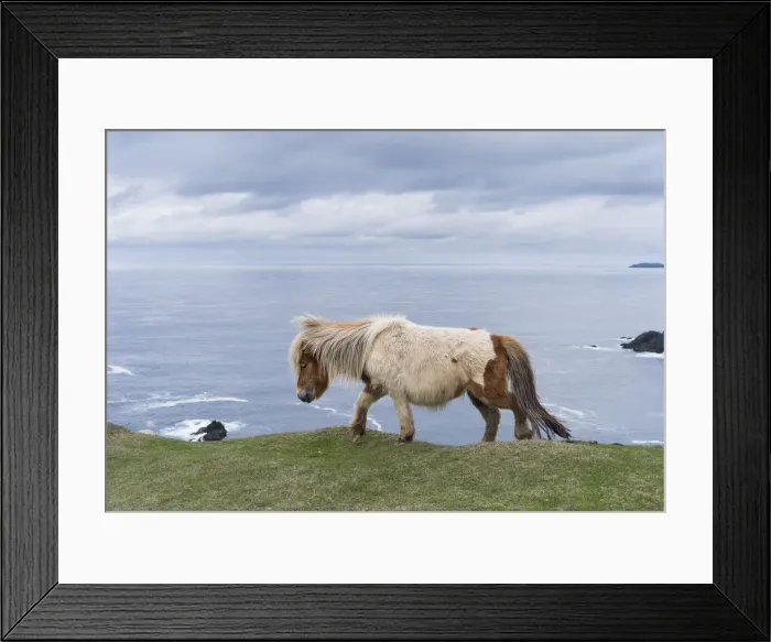 Framed Print : DDE-90036121 Framed Print : DDE-90036121