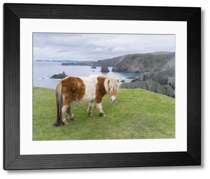 Framed Print : DDE-90036122