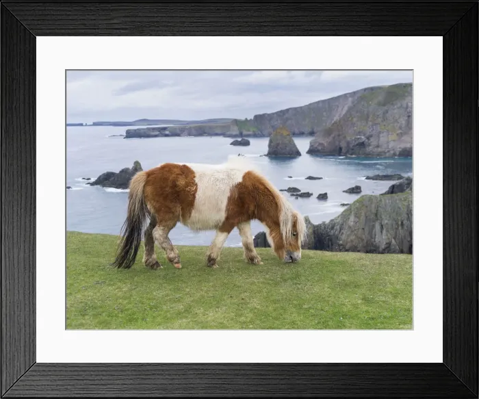 Framed Print : DDE-90036123