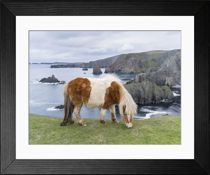 Framed Print : DDE-90036124 Framed Print : DDE-90036124