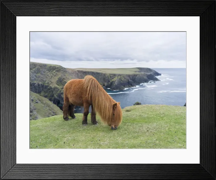 Framed Print : DDE-90036125