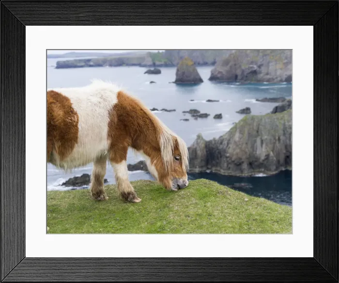 Framed Print : DDE-90036126 Framed Print : DDE-90036126