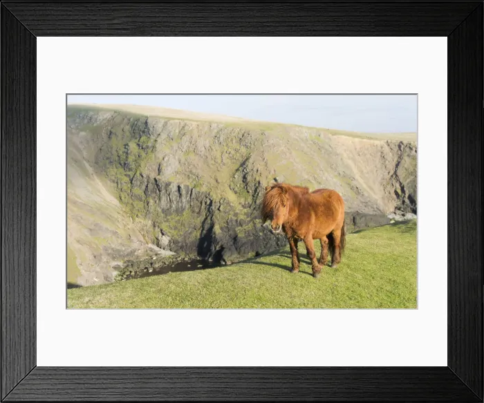 Framed Print : DDE-90036127