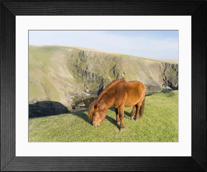 Framed Print : DDE-90036128