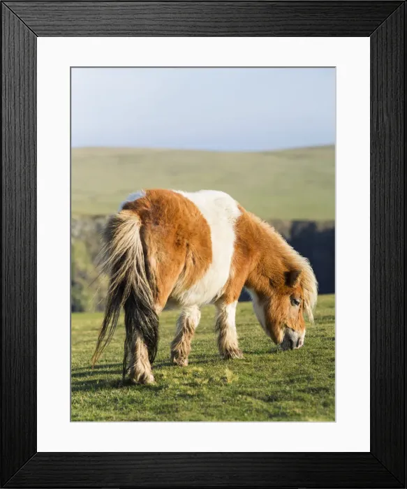 Framed Print : DDE-90036129 Framed Print : DDE-90036129