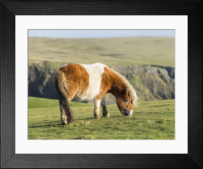Framed Print : DDE-90036130 Framed Print : DDE-90036130