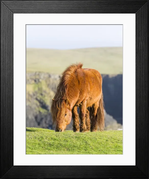 Framed Print : DDE-90036131 Framed Print : DDE-90036131