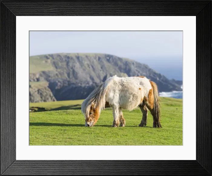 Framed Print : DDE-90036133 Framed Print : DDE-90036133