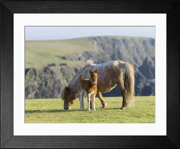 Framed Print : DDE-90036135