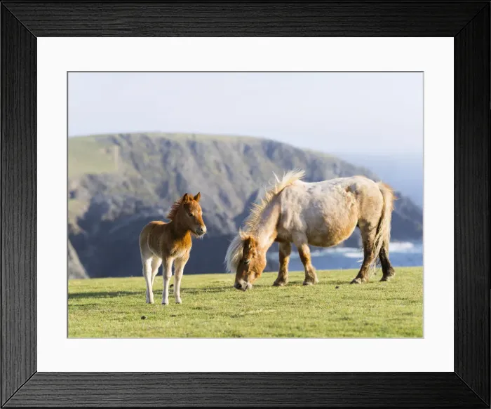 Framed Print : DDE-90036137 Framed Print : DDE-90036137