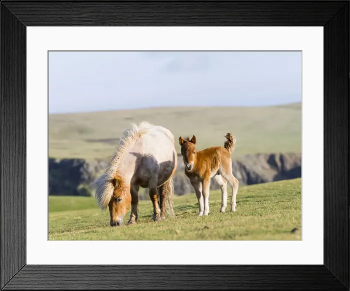 Framed Print : DDE-90036138 Framed Print : DDE-90036138