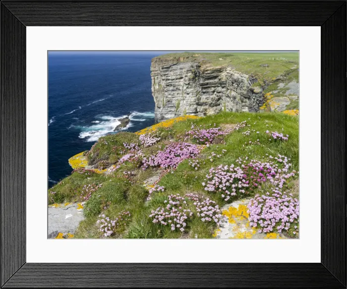 Framed Print : DDE-90036148 Framed Print : DDE-90036148