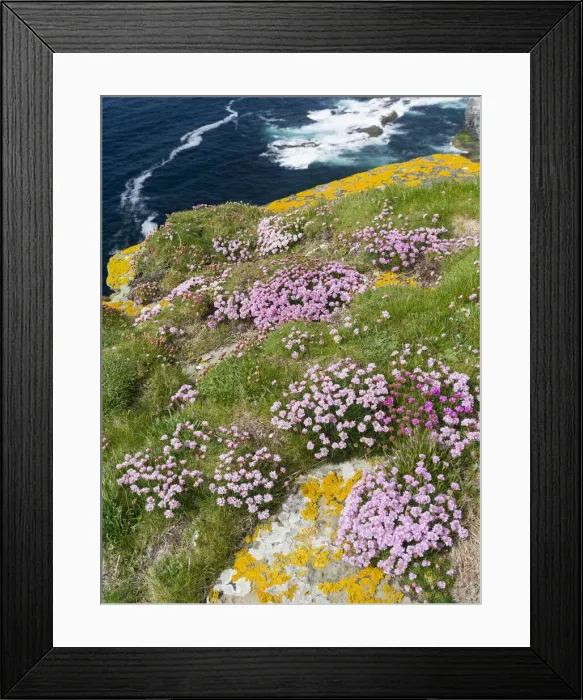 Framed Print : DDE-90036149
