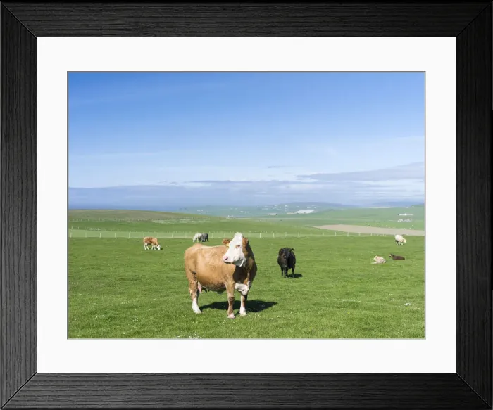 Framed Print : DDE-90036154 Framed Print : DDE-90036154