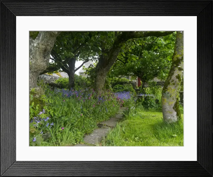 Framed Print : DDE-90036157