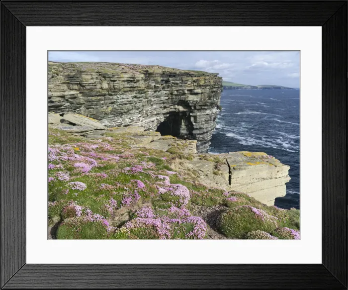 Framed Print : DDE-90036162 Framed Print : DDE-90036162