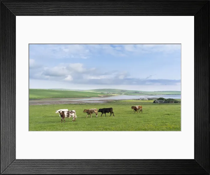 Framed Print : DDE-90036169 Framed Print : DDE-90036169