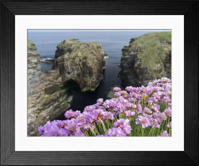 Framed Print : DDE-90036172 Framed Print : DDE-90036172