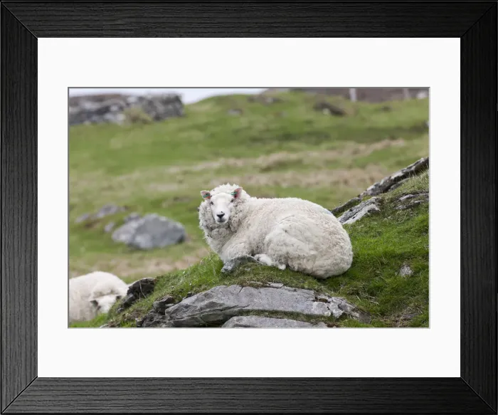 Framed Print : DDE-90036178 Framed Print : DDE-90036178