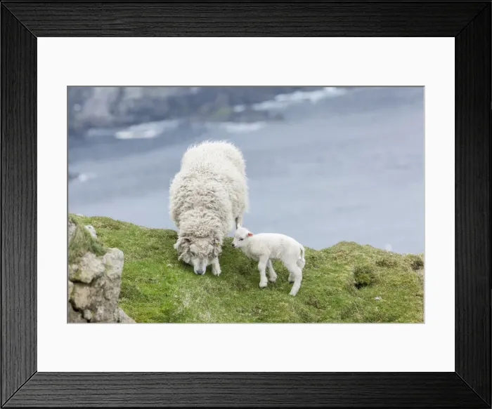 Framed Print : DDE-90036186 Framed Print : DDE-90036186