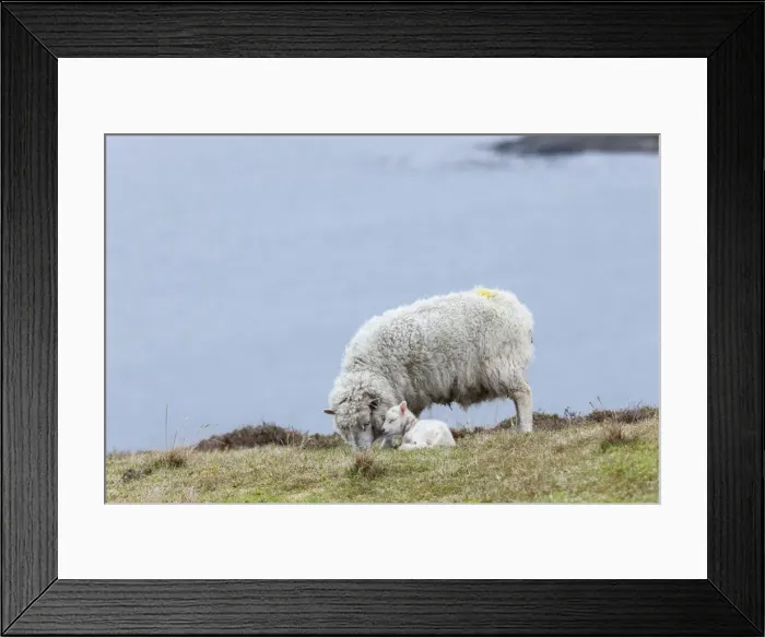 Framed Print : DDE-90036187 Framed Print : DDE-90036187