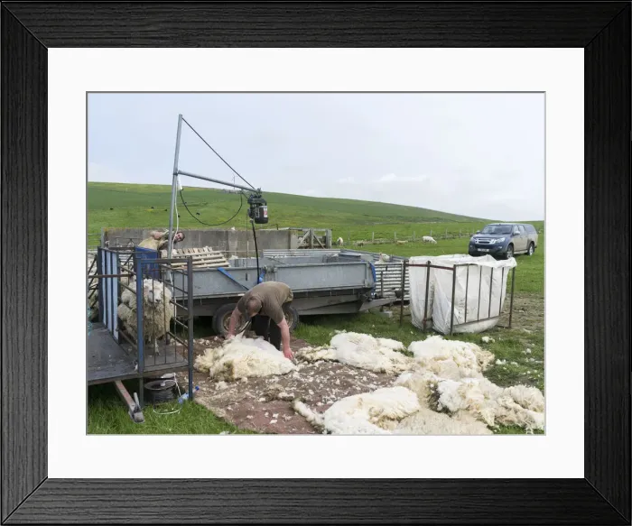 Framed Print : DDE-90036203 Framed Print : DDE-90036203