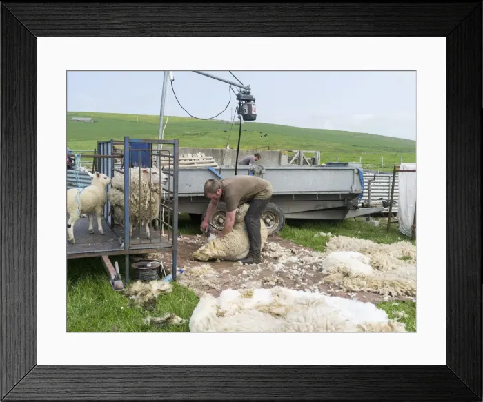 Framed Print : DDE-90036204 Framed Print : DDE-90036204