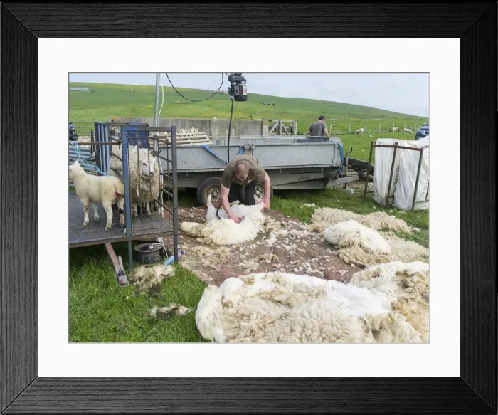 Framed Print : DDE-90036205