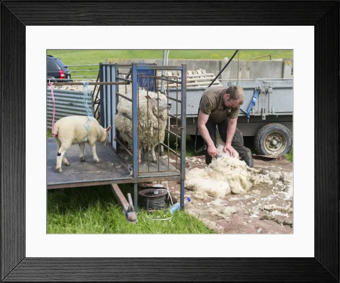 Framed Print : DDE-90036206 Framed Print : DDE-90036206