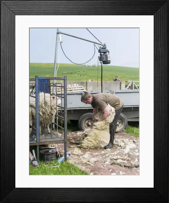 Framed Print : DDE-90036207