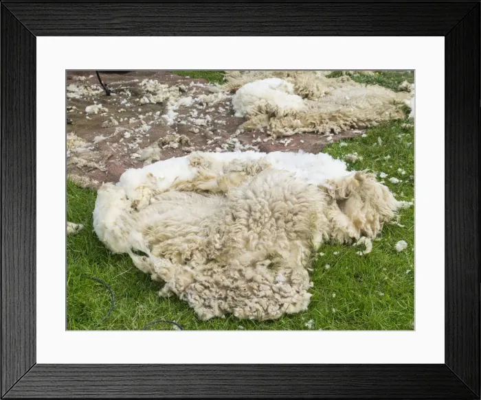 Framed Print : DDE-90036208 Framed Print : DDE-90036208