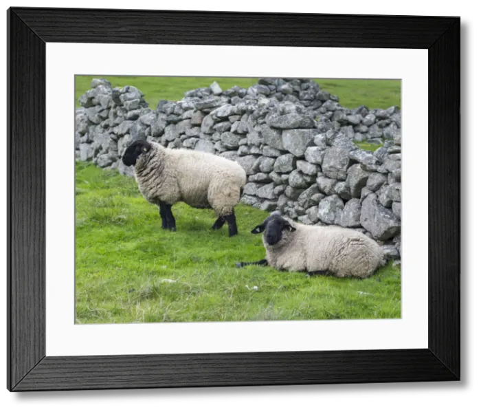 Framed Print : DDE-90036209 Framed Print : DDE-90036209
