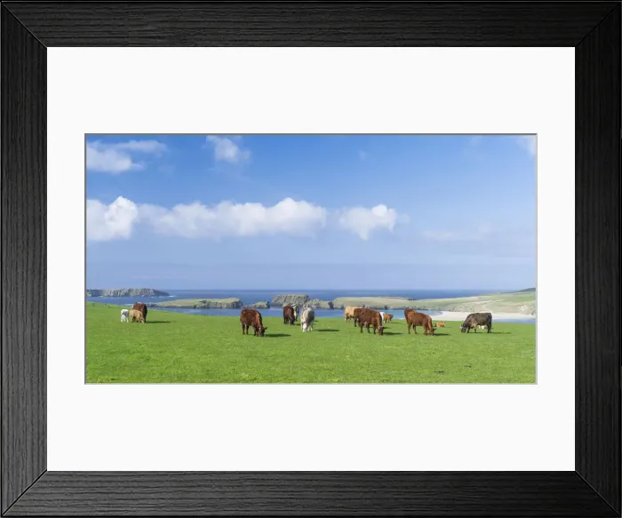 Framed Print : DDE-90036211