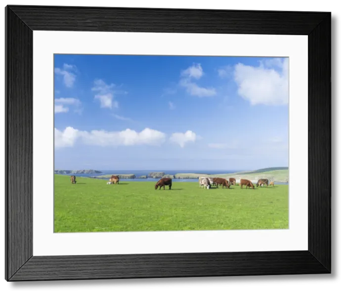 Framed Print : DDE-90036212 Framed Print : DDE-90036212