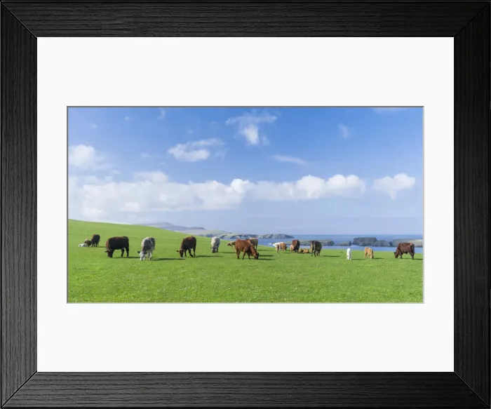 Framed Print : DDE-90036213 Framed Print : DDE-90036213