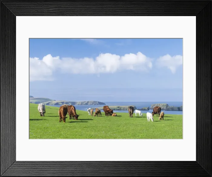 Framed Print : DDE-90036214
