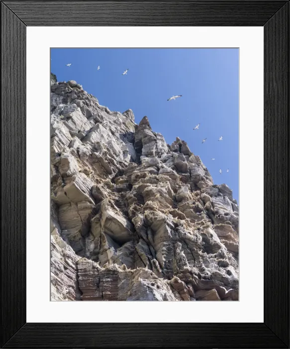 Framed Print : DDE-90036218