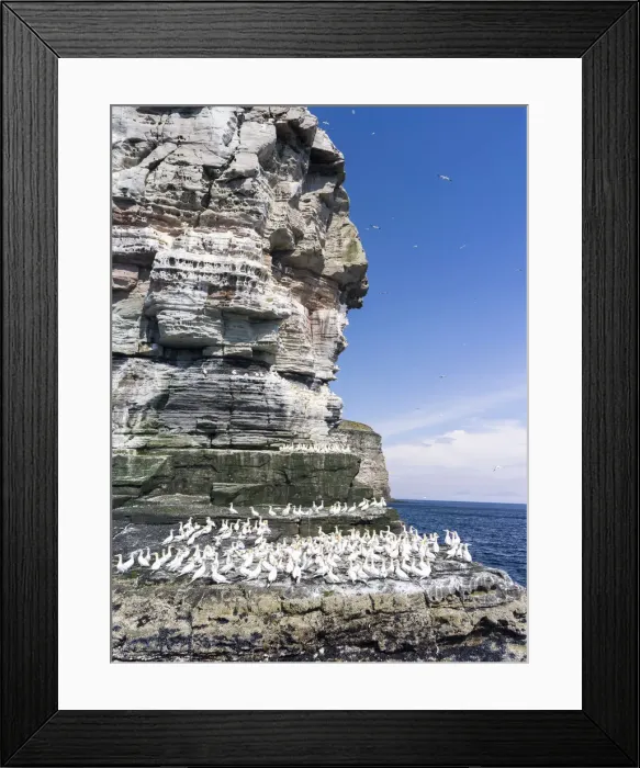 Framed Print : DDE-90036220 Framed Print : DDE-90036220