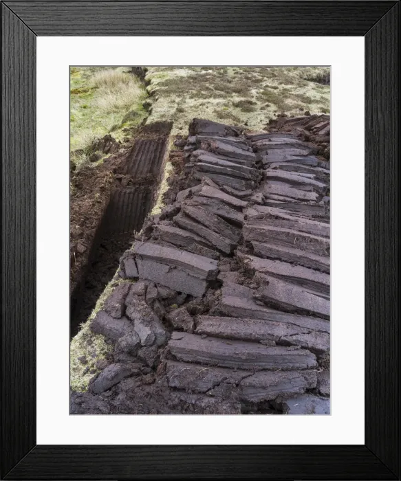 Framed Print : DDE-90036232 Framed Print : DDE-90036232