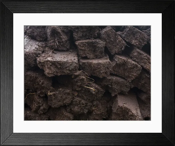 Framed Print : DDE-90036234 Framed Print : DDE-90036234