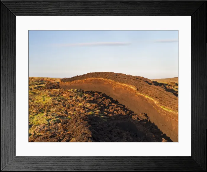 Framed Print : DDE-90036235