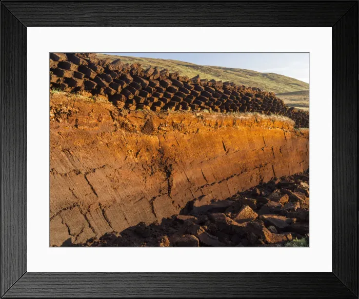 Framed Print : DDE-90036237