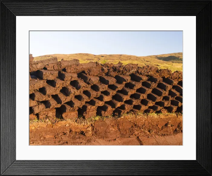 Framed Print : DDE-90036239 Framed Print : DDE-90036239
