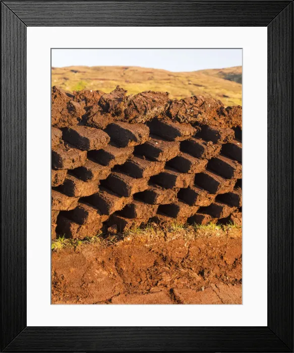 Framed Print : DDE-90036240 Framed Print : DDE-90036240